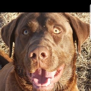 Meet your Posher, Debra